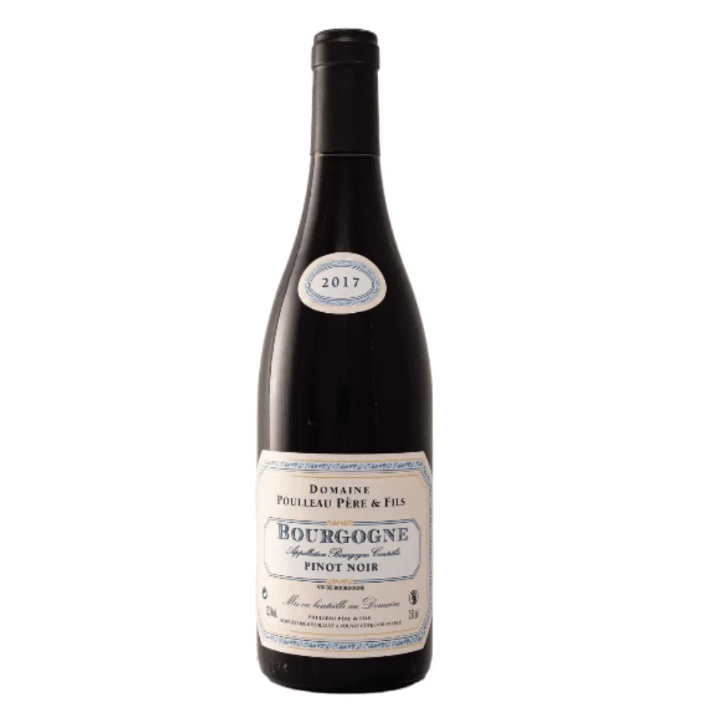 Domaine Poulleau, Bourgogne Côte d'Or Pinot Noir 2020 Bottle